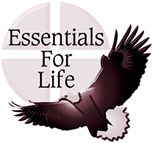 Leadership Training, Character Training and Consulting  Programs and Consulting